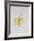 A Half-Peeled Banana, 1997-Alison Cooper-Framed Giclee Print