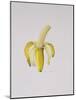 A Half-Peeled Banana, 1997-Alison Cooper-Mounted Giclee Print