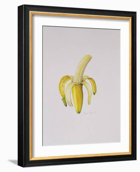 A Half-Peeled Banana, 1997-Alison Cooper-Framed Giclee Print