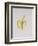 A Half-Peeled Banana, 1997-Alison Cooper-Framed Giclee Print