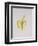 A Half-Peeled Banana, 1997-Alison Cooper-Framed Giclee Print