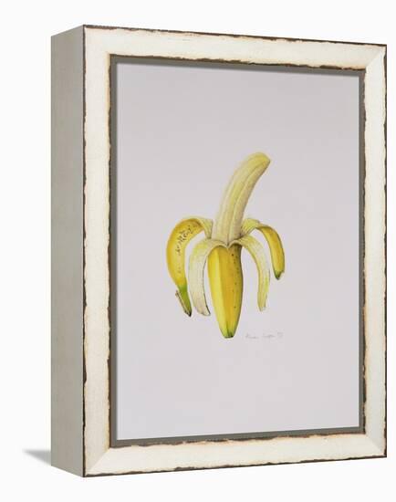 A Half-Peeled Banana, 1997-Alison Cooper-Framed Premier Image Canvas