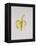 A Half-Peeled Banana, 1997-Alison Cooper-Framed Premier Image Canvas