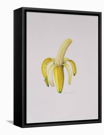 A Half-Peeled Banana, 1997-Alison Cooper-Framed Premier Image Canvas