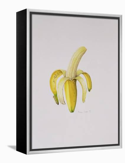 A Half-Peeled Banana, 1997-Alison Cooper-Framed Premier Image Canvas