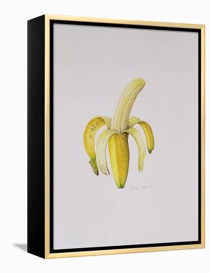 A Half-Peeled Banana, 1997-Alison Cooper-Framed Premier Image Canvas