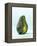 A Halved Avocado-Armin Zogbaum-Framed Premier Image Canvas