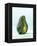 A Halved Avocado-Armin Zogbaum-Framed Premier Image Canvas