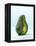 A Halved Avocado-Armin Zogbaum-Framed Premier Image Canvas