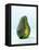 A Halved Avocado-Armin Zogbaum-Framed Premier Image Canvas