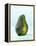 A Halved Avocado-Armin Zogbaum-Framed Premier Image Canvas