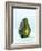 A Halved Avocado-Armin Zogbaum-Framed Photographic Print