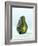 A Halved Avocado-Armin Zogbaum-Framed Photographic Print