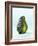 A Halved Avocado-Armin Zogbaum-Framed Photographic Print