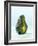 A Halved Avocado-Armin Zogbaum-Framed Photographic Print