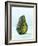 A Halved Avocado-Armin Zogbaum-Framed Photographic Print