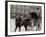 A Hansom at Madison Square, New York-null-Framed Photo