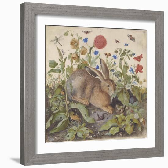 A Hare among Plants, 1582 (W/C & Bodycolour with Gum Arabic on Vellum)-Hans Hoffmann-Framed Giclee Print