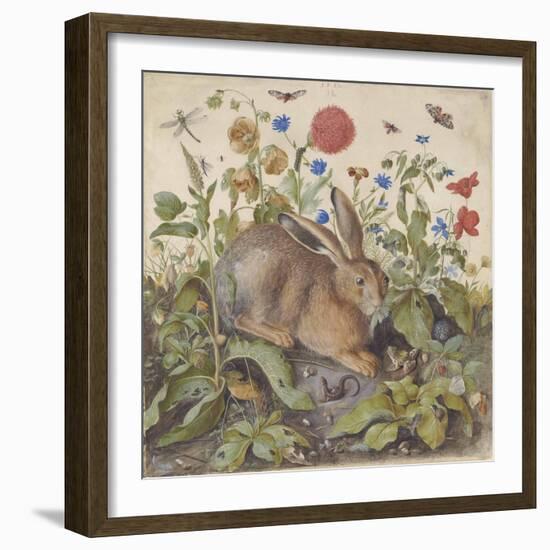 A Hare among Plants, 1582 (W/C & Bodycolour with Gum Arabic on Vellum)-Hans Hoffmann-Framed Giclee Print