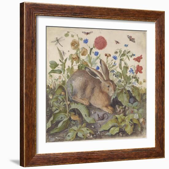 A Hare among Plants, 1582 (W/C & Bodycolour with Gum Arabic on Vellum)-Hans Hoffmann-Framed Giclee Print