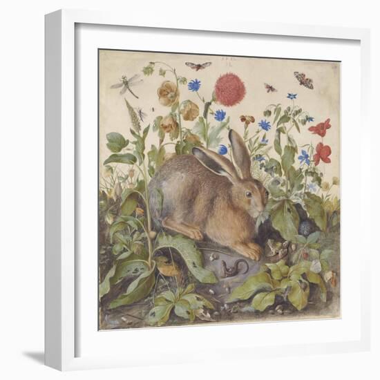 A Hare among Plants, 1582 (W/C & Bodycolour with Gum Arabic on Vellum)-Hans Hoffmann-Framed Giclee Print