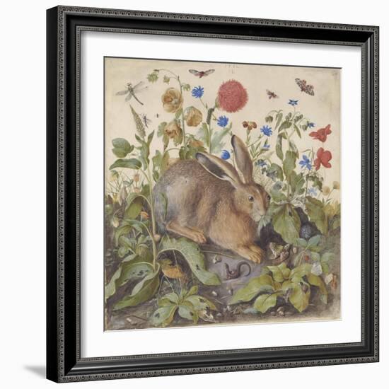 A Hare among Plants, 1582 (W/C & Bodycolour with Gum Arabic on Vellum)-Hans Hoffmann-Framed Giclee Print