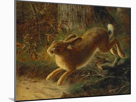 A Hare in a Landscape, 1882-Emma Mulvad-Mounted Giclee Print