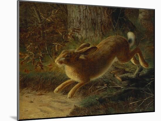 A Hare in a Landscape-Emma Mulvad-Mounted Giclee Print