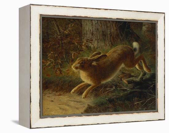 A Hare in a Landscape-Emma Mulvad-Framed Premier Image Canvas