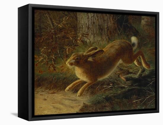 A Hare in a Landscape-Emma Mulvad-Framed Premier Image Canvas