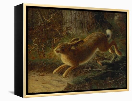 A Hare in a Landscape-Emma Mulvad-Framed Premier Image Canvas