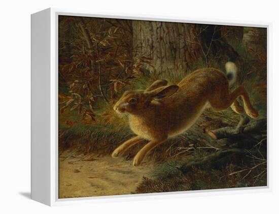 A Hare in a Landscape-Emma Mulvad-Framed Premier Image Canvas