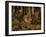 A Hare in the Forest, c. 1585-Hans Hoffmann-Framed Giclee Print