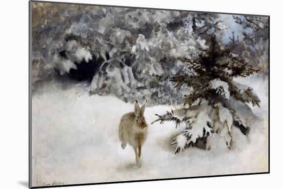 A Hare in the Snow, 1927-Bruno Andreas Liljefors-Mounted Giclee Print