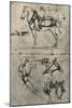 'A Harnessed Cart-Horse and Studies of Harness', c1480 (1945)-Leonardo Da Vinci-Mounted Giclee Print