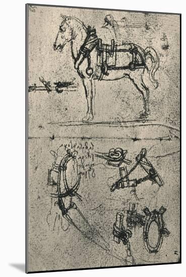 'A Harnessed Cart-Horse and Studies of Harness', c1480 (1945)-Leonardo Da Vinci-Mounted Giclee Print