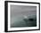 A Haviside's Dolphin, Cephalorhynchus Heavisidii, Comes Up for Air in the Atlantic Ocean-Alex Saberi-Framed Photographic Print