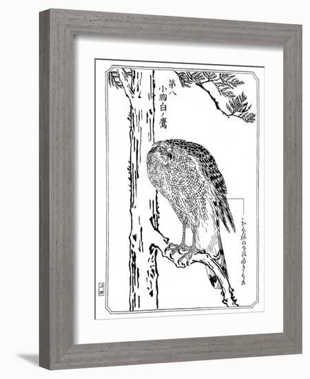 A Hawk, 1898-Kawanabe Kyosai-Framed Giclee Print