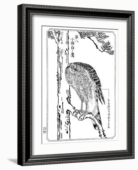 A Hawk, 1898-Kawanabe Kyosai-Framed Giclee Print