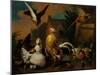 A Hawk attacking Poultry in a Farmyard-Pieter Casteels-Mounted Giclee Print