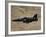 A Hawk T2 Jet Trainer Aircraft of the Royal Air Force-Stocktrek Images-Framed Photographic Print