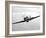 A Hawker Hurricane Aircraft in Flight-Stocktrek Images-Framed Photographic Print