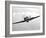 A Hawker Hurricane Aircraft in Flight-Stocktrek Images-Framed Photographic Print