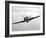 A Hawker Hurricane Aircraft in Flight-Stocktrek Images-Framed Photographic Print