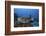 A Hawksbill Sea Turtle Swims over a Coral Reef in Palau-Stocktrek Images-Framed Photographic Print