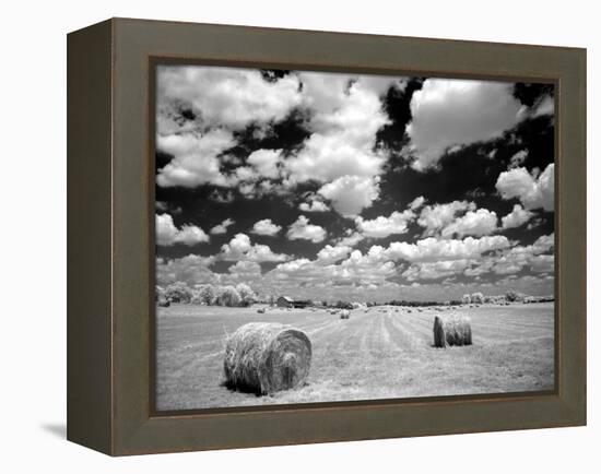 A Hayfield with Summer Clouds-Rip Smith-Framed Premier Image Canvas