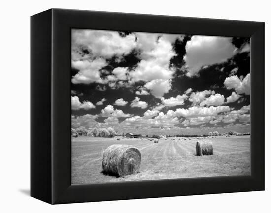 A Hayfield with Summer Clouds-Rip Smith-Framed Premier Image Canvas