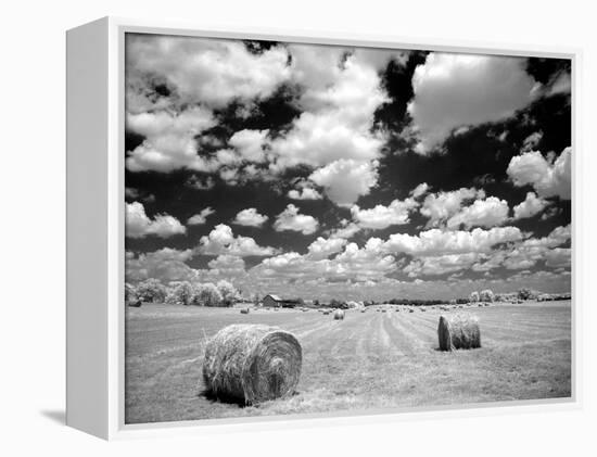 A Hayfield with Summer Clouds-Rip Smith-Framed Premier Image Canvas