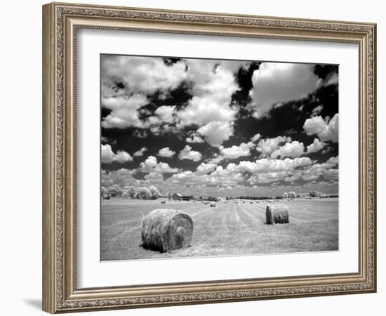 A Hayfield with Summer Clouds-Rip Smith-Framed Photographic Print