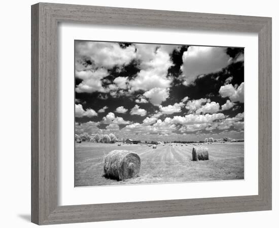 A Hayfield with Summer Clouds-Rip Smith-Framed Photographic Print